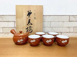 ◆未使用品 常滑焼 とこなめ焼 富仙 急須 湯呑5客 セット 茶器 茶道具 和 梅 共箱あり 和食器 朱泥 工芸品