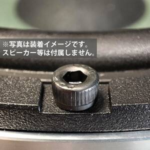 M4×10 10本 六角ネジ ドアスピーカー取り付け用 固定ボルト 黒鉄 DIY