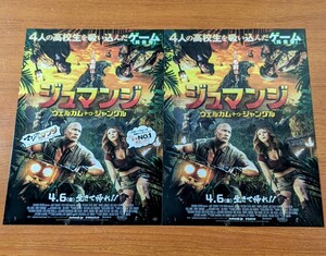 チラシ 映画「ジュマンジ ウエルカム・トゥ・ジャングル」２種類２枚セット。２０１７年 、米映画。