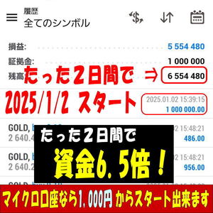 【たった2日間で100万円⇒655万円】正直！公開して良いのか迷ったFX自動売買です