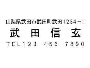 10即決 住所印 住所判 ゴム印 スタンプ はんこ 送料込
