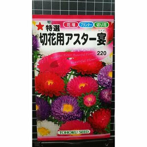 ３袋セット 特選 アスター 宴 切花用 種 郵便は送料無料