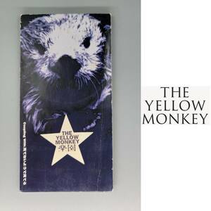 ●楽園●ザイエローモンキー THE YELLOW MONKEY CD 8cm シングル 同梱可能 音楽 ミュージック CD・DVDシリーズ