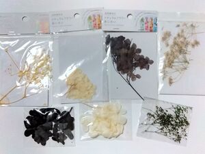 手芸用品き45■自然素材のナチュラルフラワー紫陽花他ドライフラワー封入材セット■レジンピアスパーツアクセサリーハンドメイド資材 