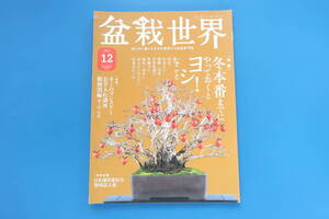 盆栽世界 2021年12月号/保存版解説資料/BONSAI/特集:冬本番までにやっておくとヨシ！なこと/剪定/針金かけ/播種/消毒/お手入れ講座 真柏。