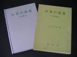 ◆日本の盆栽◆松柏上