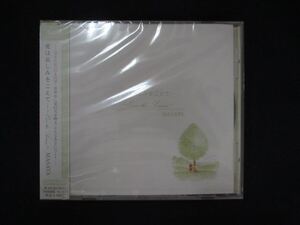 1080★未開封CD 愛は哀しみをこえて Over the sollow/MASAYA ※ワケ有