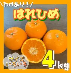 訳あり‼️ わかやま はれひめ 4キロ サイズ混合 有田みかん フルーツ24