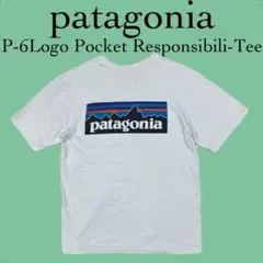 patagonia P-6 雪山ロゴ  ポケットTシャツ パタゴニア ポケT