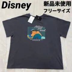 新品未使用タグ付き　Disney アラジン　ジャスミン　Tシャツ　フリーサイズ