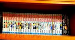 HUNTER × HUNTER 1-33巻 ゼロ巻 映画本二冊 ハンターズガイド