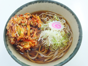 野菜かき揚げ 90g×60枚 かき揚げ かきあげ そば うどん 惣菜コーナーに 業務用 冷凍食品