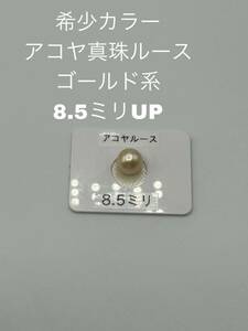 希少カラー　アコヤ真珠ルース　ゴールド系　8.5ミリUP AK-002