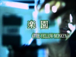 VCDカラオケ】THE YELLOW MONKEY*楽園 含/17曲/BMB335/mdpkrvb