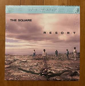 LP 帯 シュリンク ザ・スクエア / リゾート THE SQUARE RESORT 28AH 1845