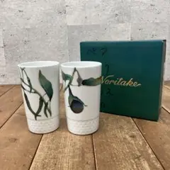 昭和レトロ ノリタケ noritake 京香旬彩 陶磁器製 2客セット ペア