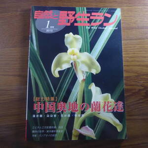 ＹＮ1-240910☆自然と野生ラン 2010年1月号　※ 豆弁蘭 朶々香 蓮弁蘭 エビネ カンアオイ ※ 園芸JAPAN