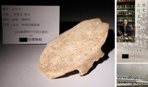 博物館展示品　来歴有　553　商時代　甲骨文　契文　寸法約17.8cmx約11cm　(検)甲骨文字 唐物 中国美術 古玩