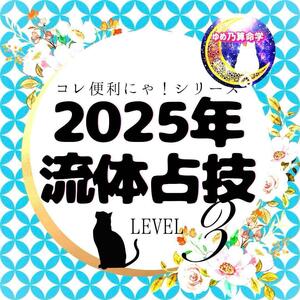 【便利】2025 乙巳年　流体占技カレンダーレベル３