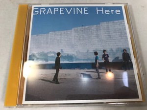 GRAPEVINE グレイプバイン / Here　アルバム　CD　中古