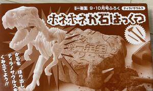 小学一年生 9・10月号付録 ・ホネホネ か石はっくつ ティラノサウルス 化石を掘り出しティラノサウルスを組み立てよう！