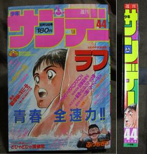 「週刊少年サンデー 1988年 44号」巻頭カラー：ぶっちぎり／ラフ YAIBA 望郷戦士 拳児 らんま1/2 仮面ライダーBlack 　　　管理：(A2-405