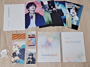 防弾少年団 BTS★テヒョン マスター MOV 「wonderland」写真集 2冊★V テテ TAEHYUNG フォトブック PHOTO BOOK カード ポスター バンタン