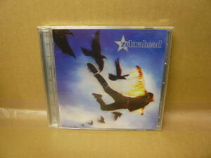 【中古CD】PHOENIXフェニックス/zebraheadゼブラヘッド/ソニーミュージックジャパン