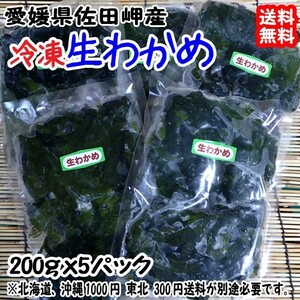 愛媛 佐田岬産 生わかめ 冷凍 200g×5p 送料無料 浜から直送 無添加・無着色 宇和海の幸問屋