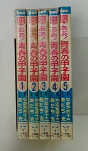 ああ！青春の甲子園 あだち充 やまさき十三 1-5巻 2巻以降は初版本 小学館 フラワーコミックス ※同梱不可※ K716