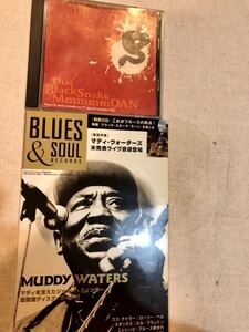 BLUES & SOUL RECORDS ブルース&ソウル・レコーズ NO.77 2007年 Muddy Warers ココテイラー　ブラックスネークモーン　CD 付録無し