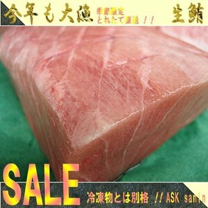 2本、生まぐろ「大トロ 1kg位」（不定貫）目利きの選んだ!! 山陰境港産...予約販売となります。