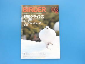 BIRDER バーダー 2016年3月号/バードウォッチング野鳥観察解説資料/特集:野鳥クライシス/今どきのバードウォッチャーの生態/オウムインコ