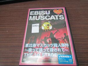 6901　恵比寿マスカッツ殺人事件 歌って踊って殺されて THE 1st STAGE DVD 中古