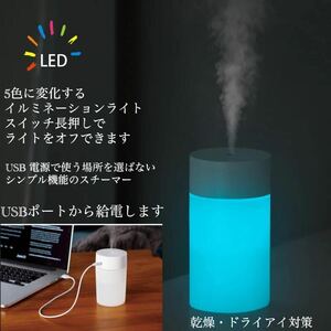 加湿器 卓上 除菌加湿器 ミニ アロマ加湿除菌 超音波式加湿器乾燥　乾燥　花粉症対策　 LEDライト 空焚き防止 260ML容量 USB充電式 　2