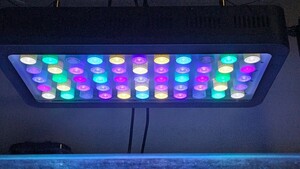 ブラックボックス改（UV、シアン、グリーン強化）プリズムレンズ 3W×55LED 165W