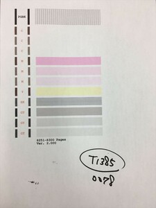 【T1385】プリンターヘッド ジャンク 印字確認済み QY6-0078 CANON キャノン PIXUS MP990/MG6130/MG6230/MG8130/MG8230