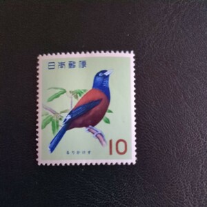 鳥シリーズ　1963 るりかけす