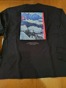 国内正規 新品未使用タグ付 ノースフェイス 30th 長袖Tシャツ L 黒 NT82235 レターパックプラス520円