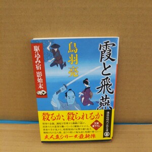 霞と飛燕 （講談社文庫　と３０－３５　駆込み宿影始末） 鳥羽亮／〔著〕