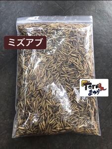 送料無料《乾燥ミズアブ》3kg アメリカミズアブ　フェニックスワーム　バグズプレミアム　小動物　爬虫類、魚類の餌に.