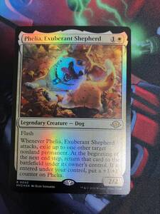 MTG　溌剌の牧羊犬、フィリア/Phelia, Exuberant Shepherd　英語　Foil