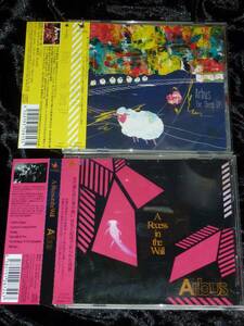 Arbus / A Recess in the Wall + The Sheep EP = CDセット(帯付き,カオティックハードコア,chaotic hc)