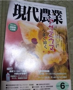 現代農業 中古品 2016年6月 アザミウマ 農薬の本 雑誌 家庭菜園 ガーデニング　農業 農文協 園芸　くらし　趣味花、園芸本　参考書 