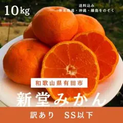 新堂みかん　訳あり　SS以下　10kg