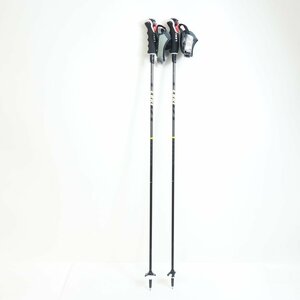 中古 2021年頃のモデル LEKI/レキ CARBON 11 3Dモデル ストック・ポール スキー 110cm