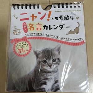 2025年版 ニャンとも素敵な日めくり名言カレンダー 日めくりカレンダー