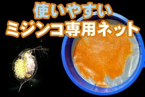 ミジンコ　専用　ネット　網　1個　交換用ネット付き　微生物