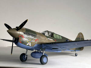 【atsudra工房完成品】1/32 P-40 WARHAWK 第49戦闘航空群 ランダース中尉機