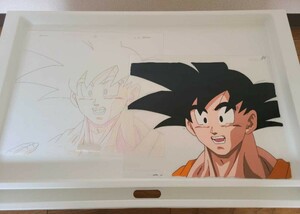 DRAGON BALL　孫悟空　セル画　直筆動画付き　鳥山明　ドラゴンボール